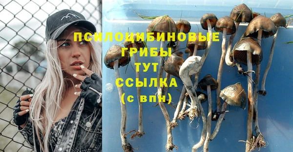 кокаин колумбия Новозыбков