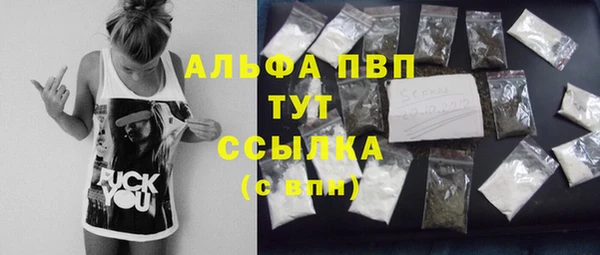 гидра Новодвинск
