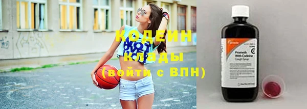 дмт Бикин