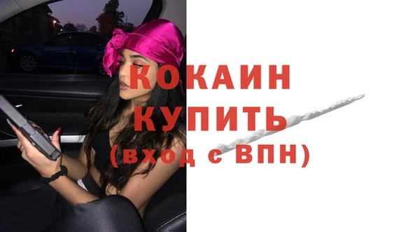 гидра Новодвинск