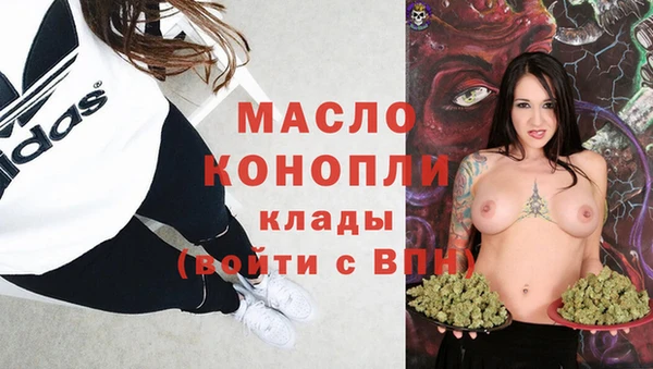 гидра Новодвинск