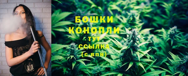 mdpv Билибино